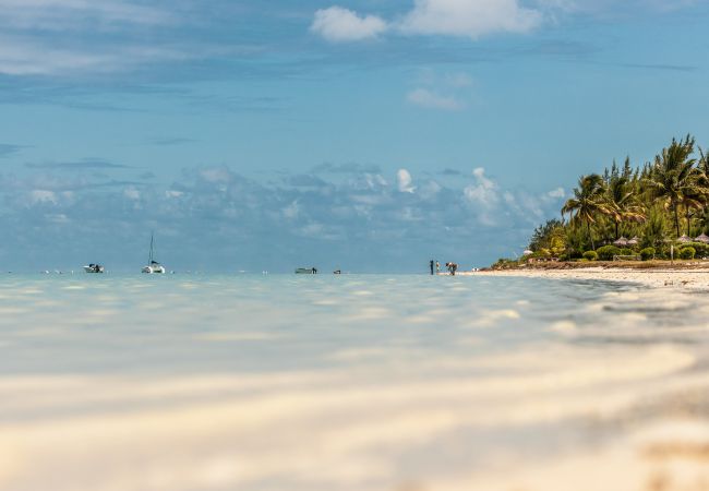 Appartement à Pointe d'Esny - Blue Nest - Penthouse by Horizon Holidays Appartement à Pointe d'Esny - Blue Nest - Penthouse by Horizon Holidays