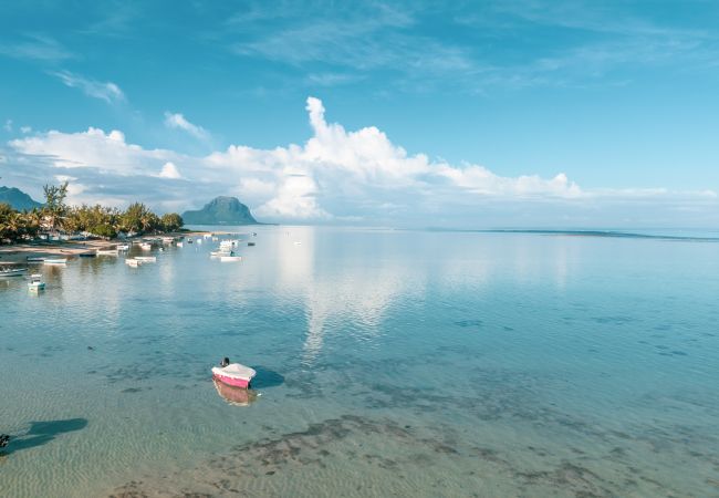 Appartement à Rivière Noire - Manta Cove - Appartement Premium by Horizon Holidays Appartement à Rivière Noire - Manta Cove - Appartement Premium by Horizon Holidays